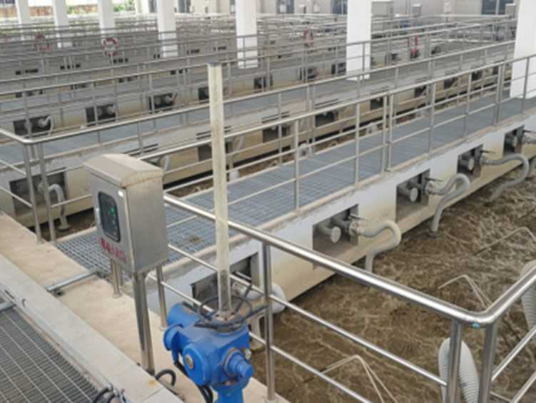 宮奇膜在山東某水質凈化廠擴容提質 （30萬m3/d）工程EPC